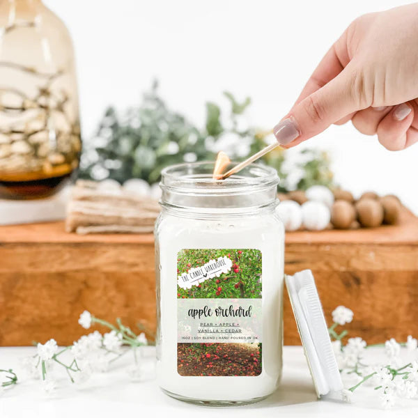 Apple Orchard 16 oz Candle