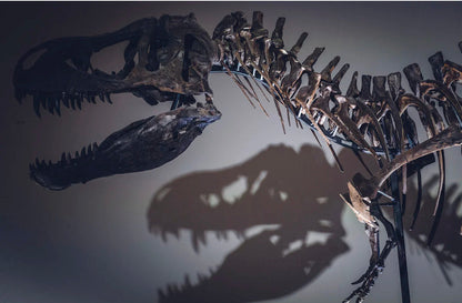 3/18/25 SPRING BREAK Dinosaur Workshop (Tuesday 10:00am)