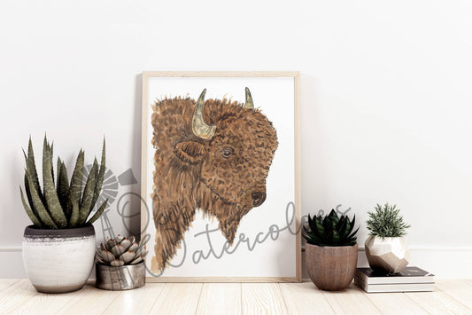 Okie Watercolors - Buffalo / Bison Profile, 8x10" Watercolor Art Print